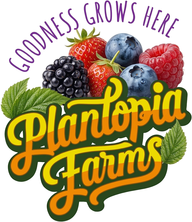 Plantopia Farms — Goodness grows here
